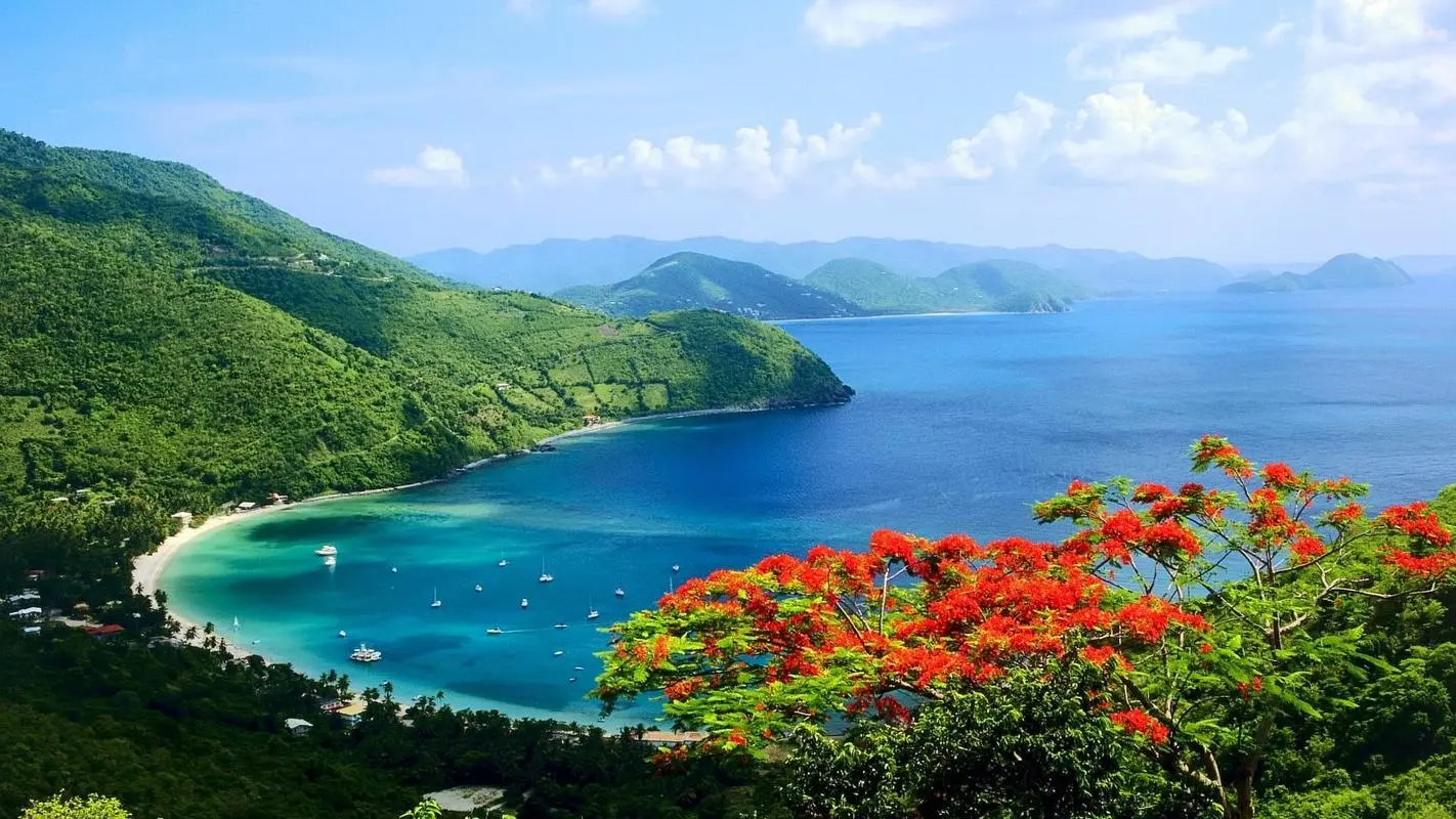 高效高性能可靠性